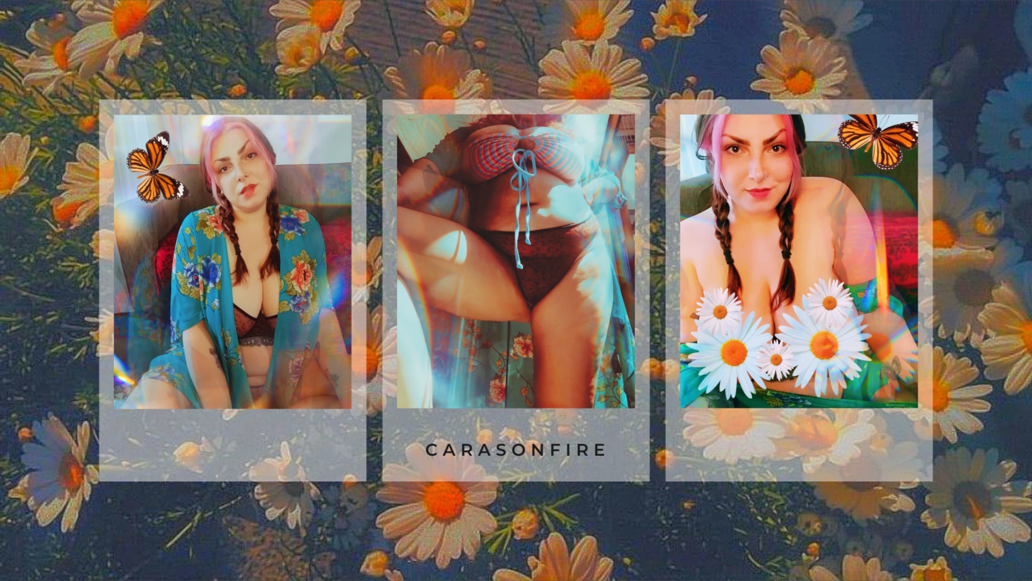 Carasonfire banner image