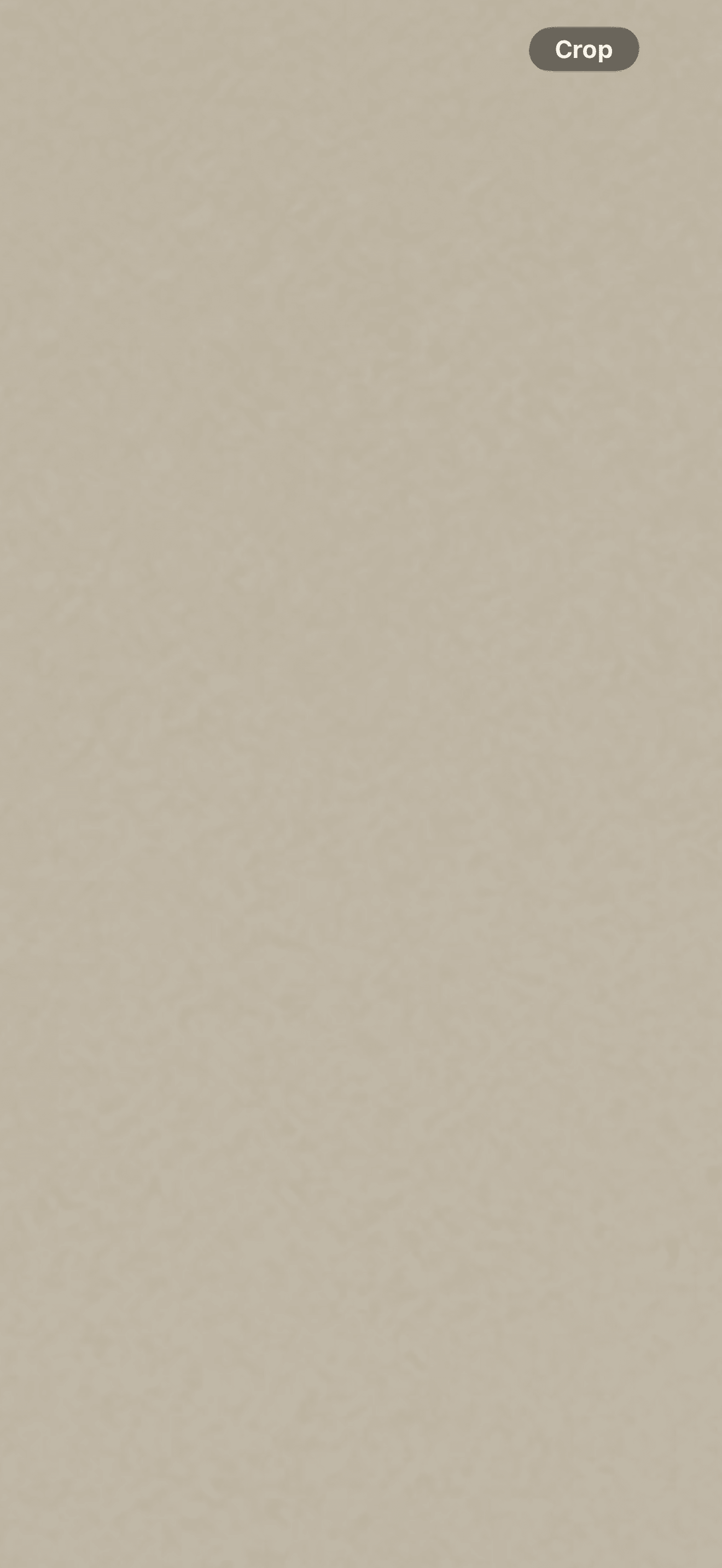 Nicole banner image