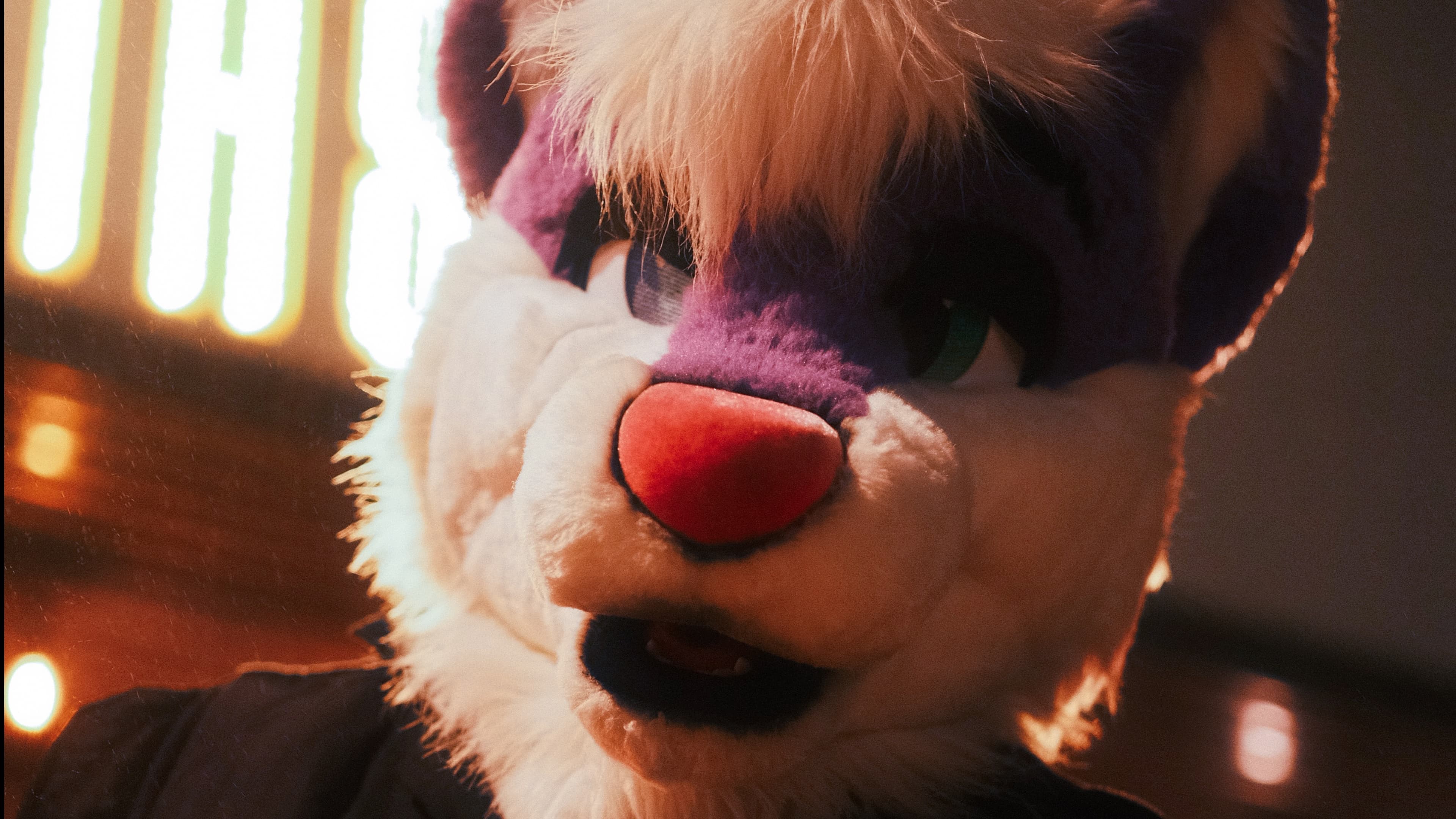 ❃ Dirty Ube ❃ banner image