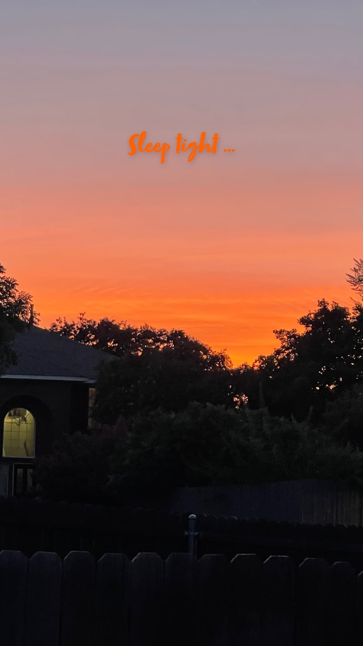 Copper Curls banner image