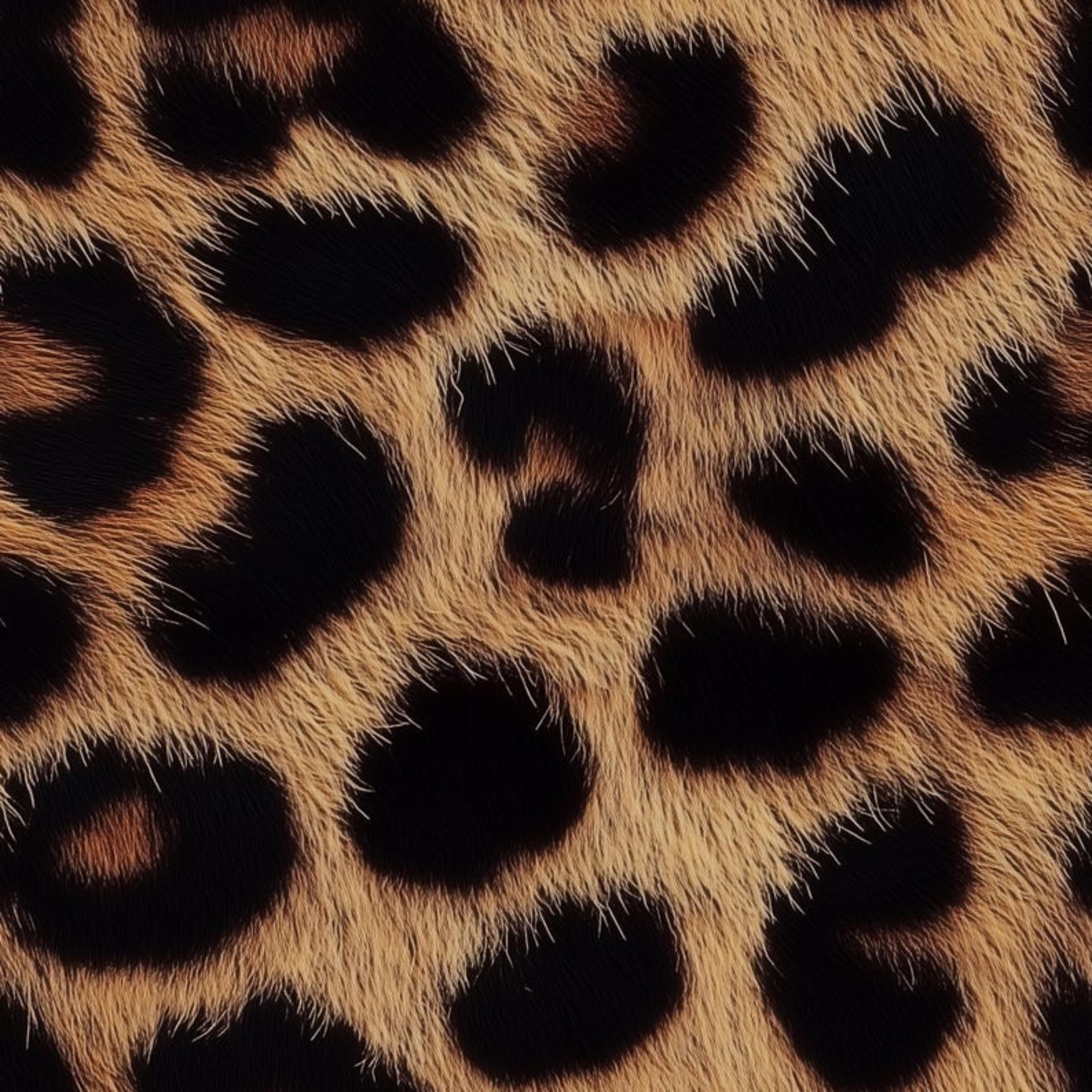Your Ebony Delight π« banner image