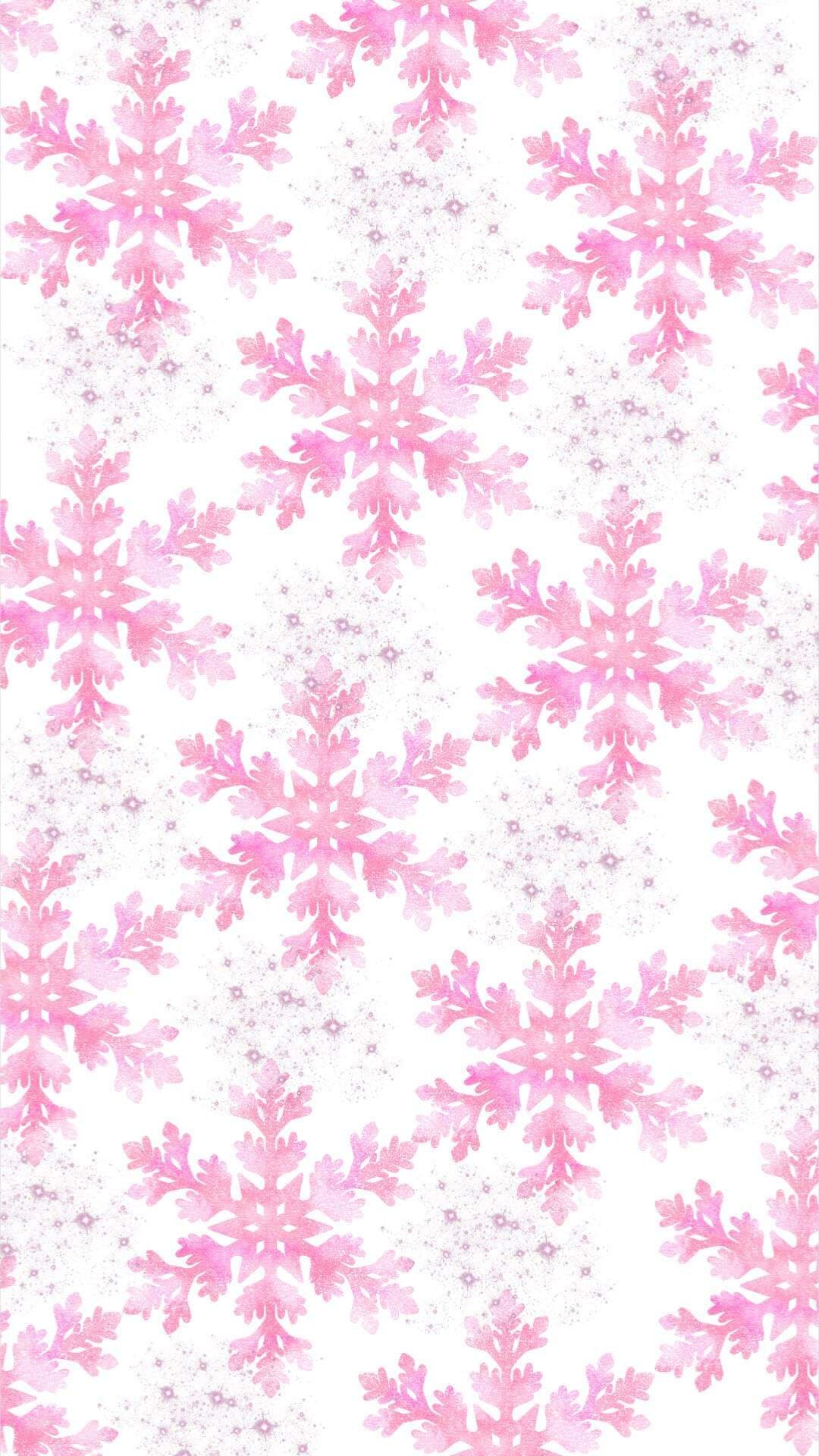 Kitten banner image
