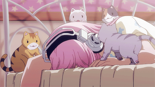 hime banner image