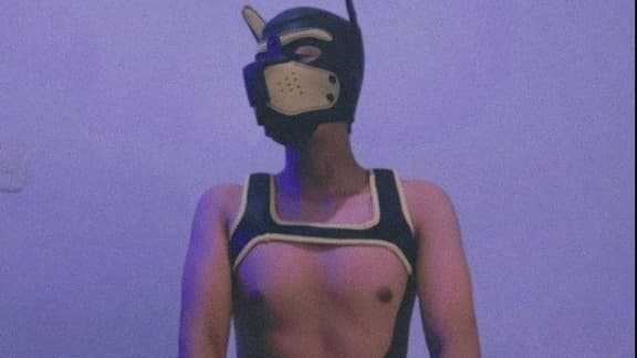 Pup Lex banner image