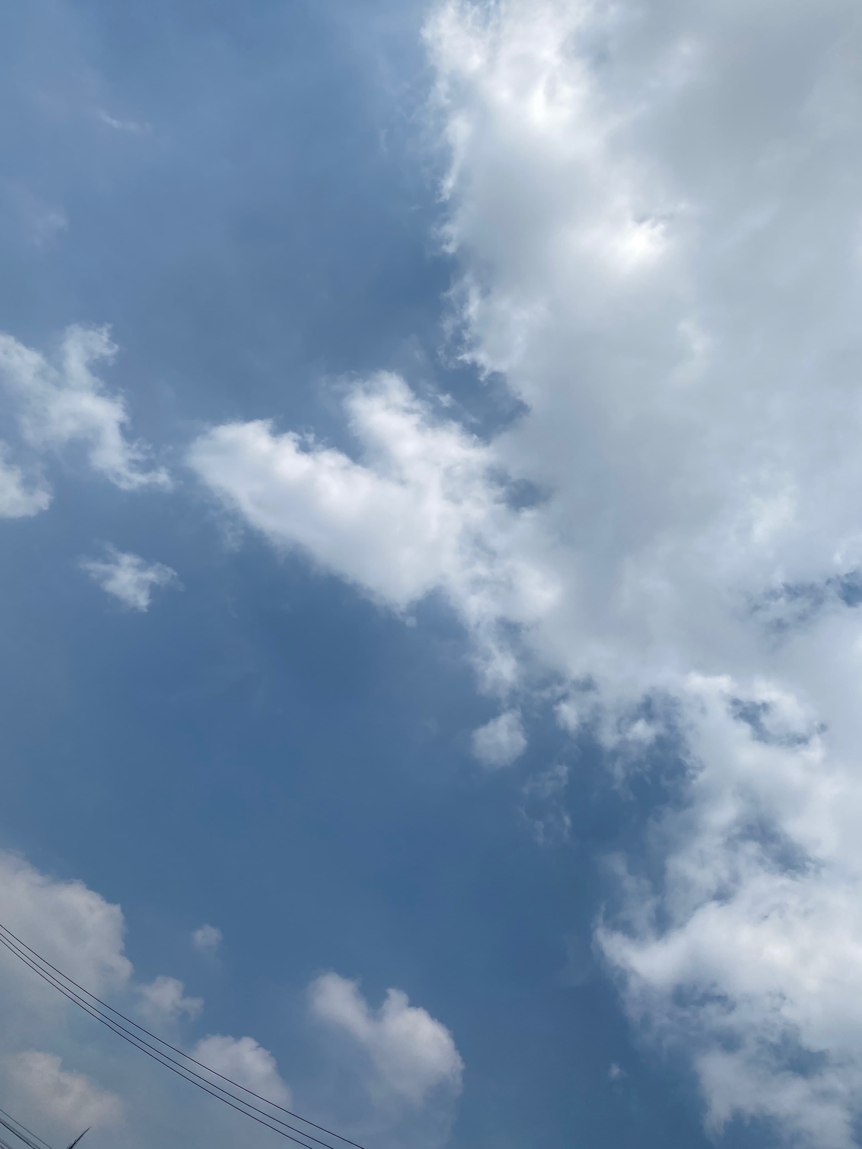 Skinny banner image
