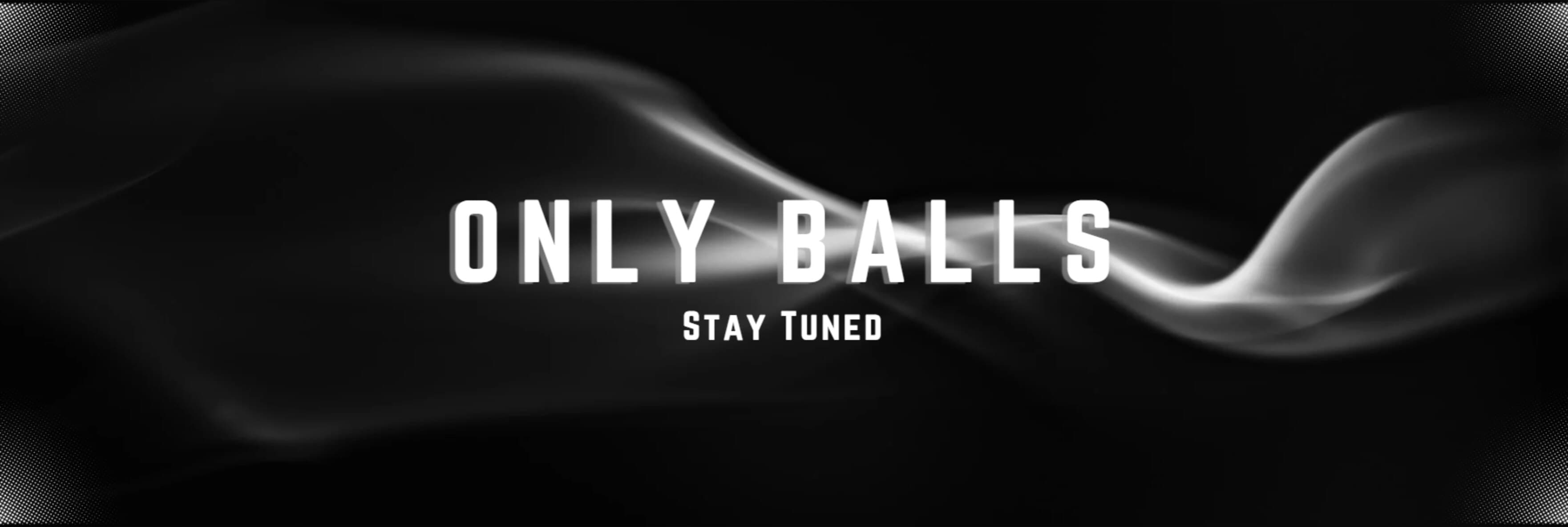 BearwithBullBalls banner image