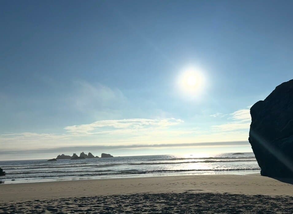 gabbi banner image