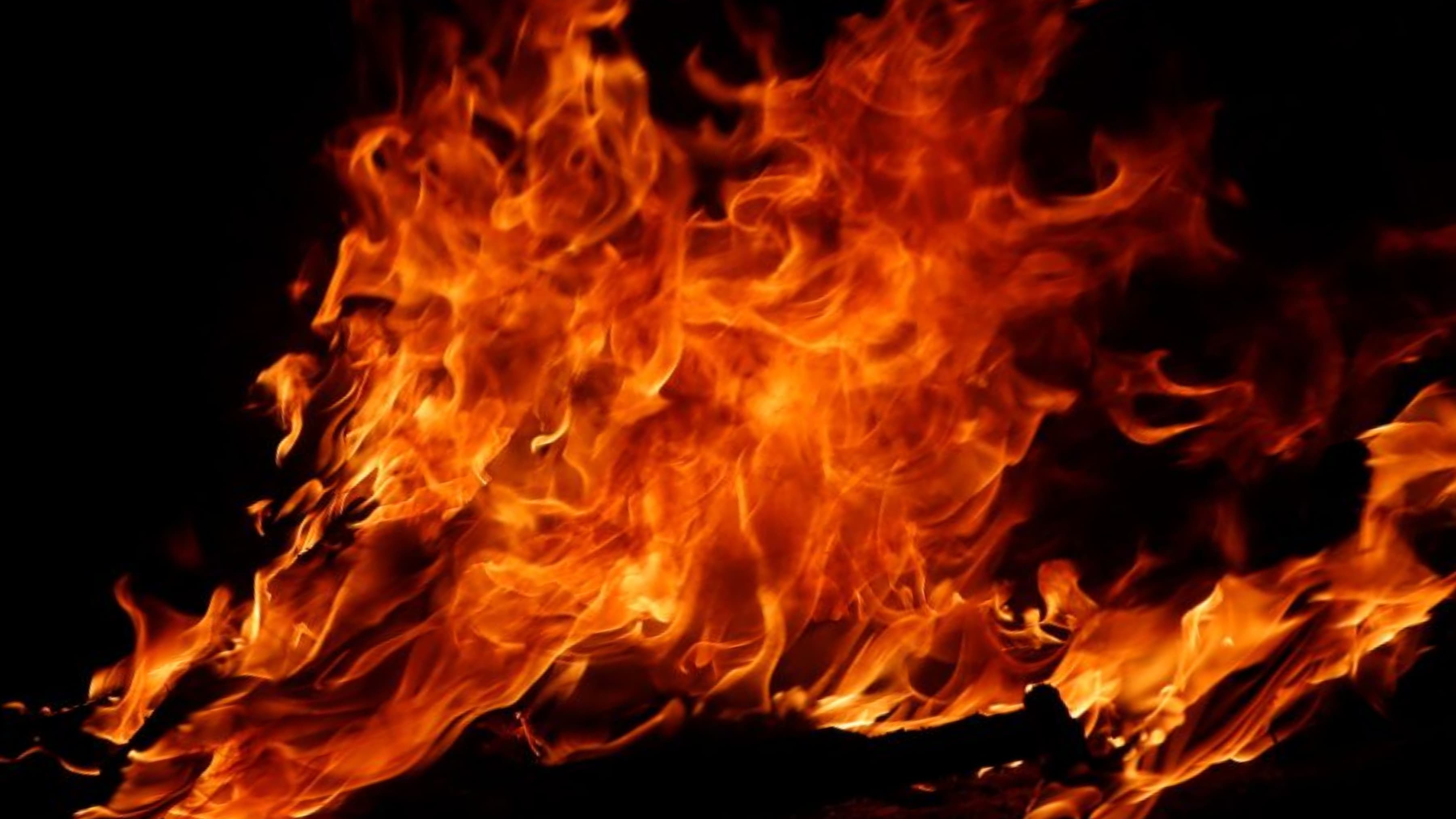 Bloodfoxxx banner image