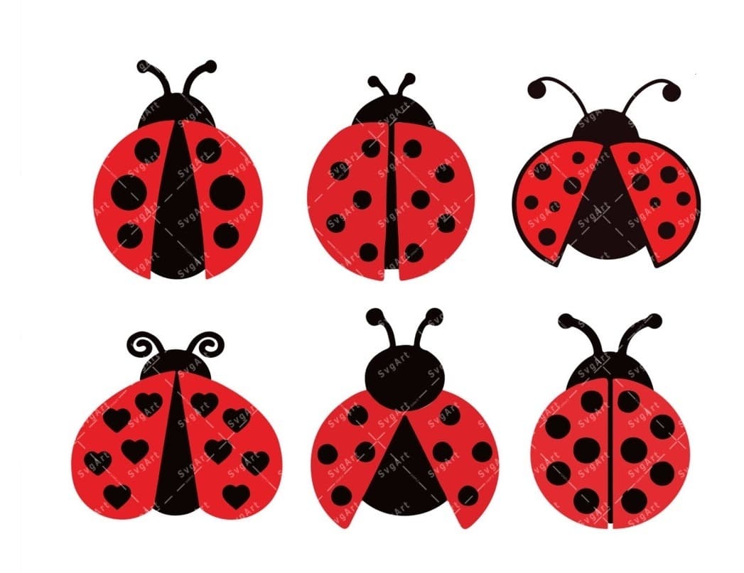 Ladybug π banner image