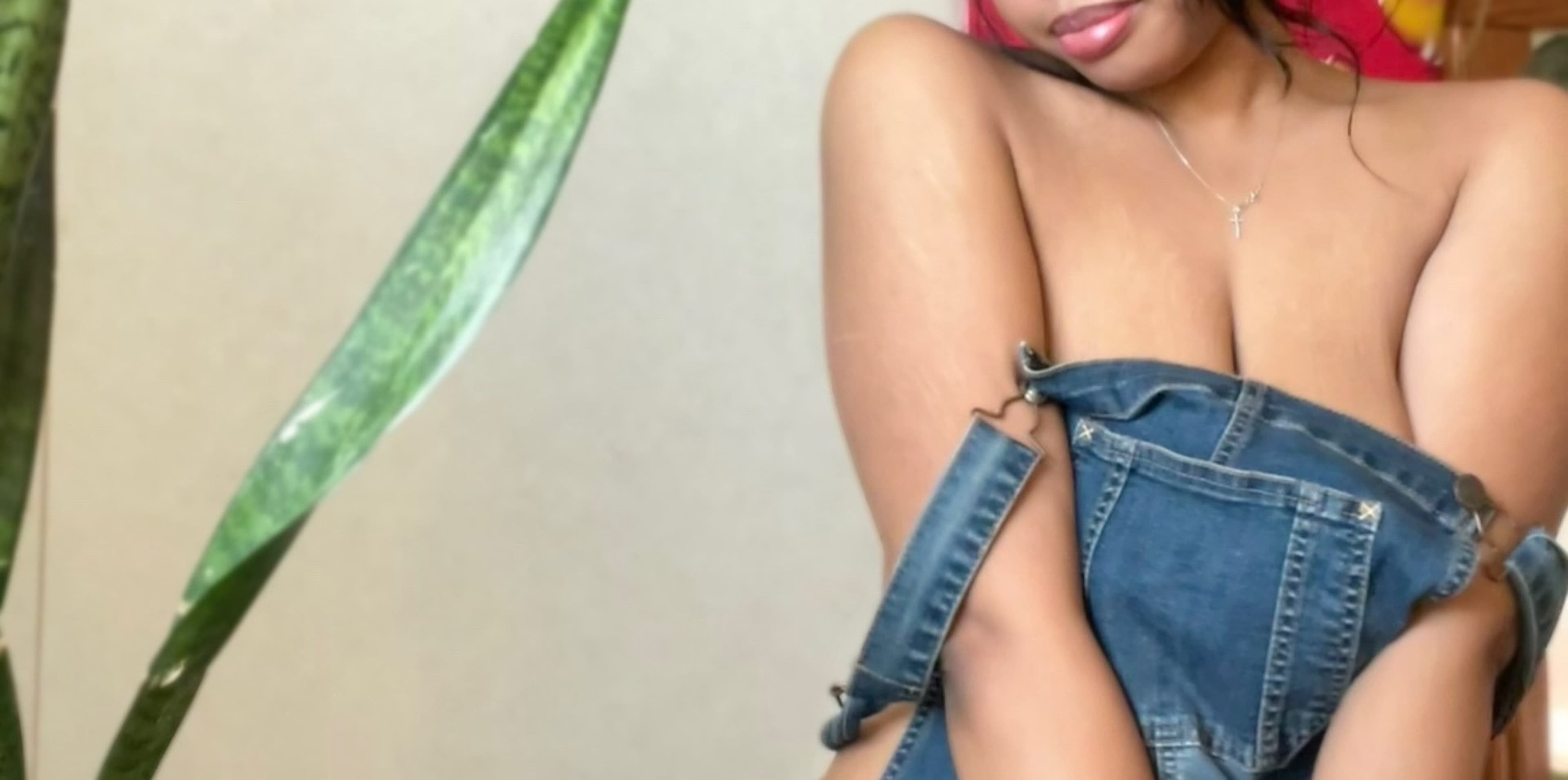 Nembuprincess banner image