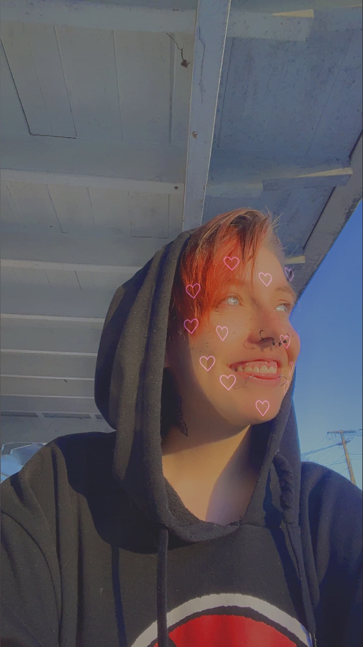 Cheeze banner image