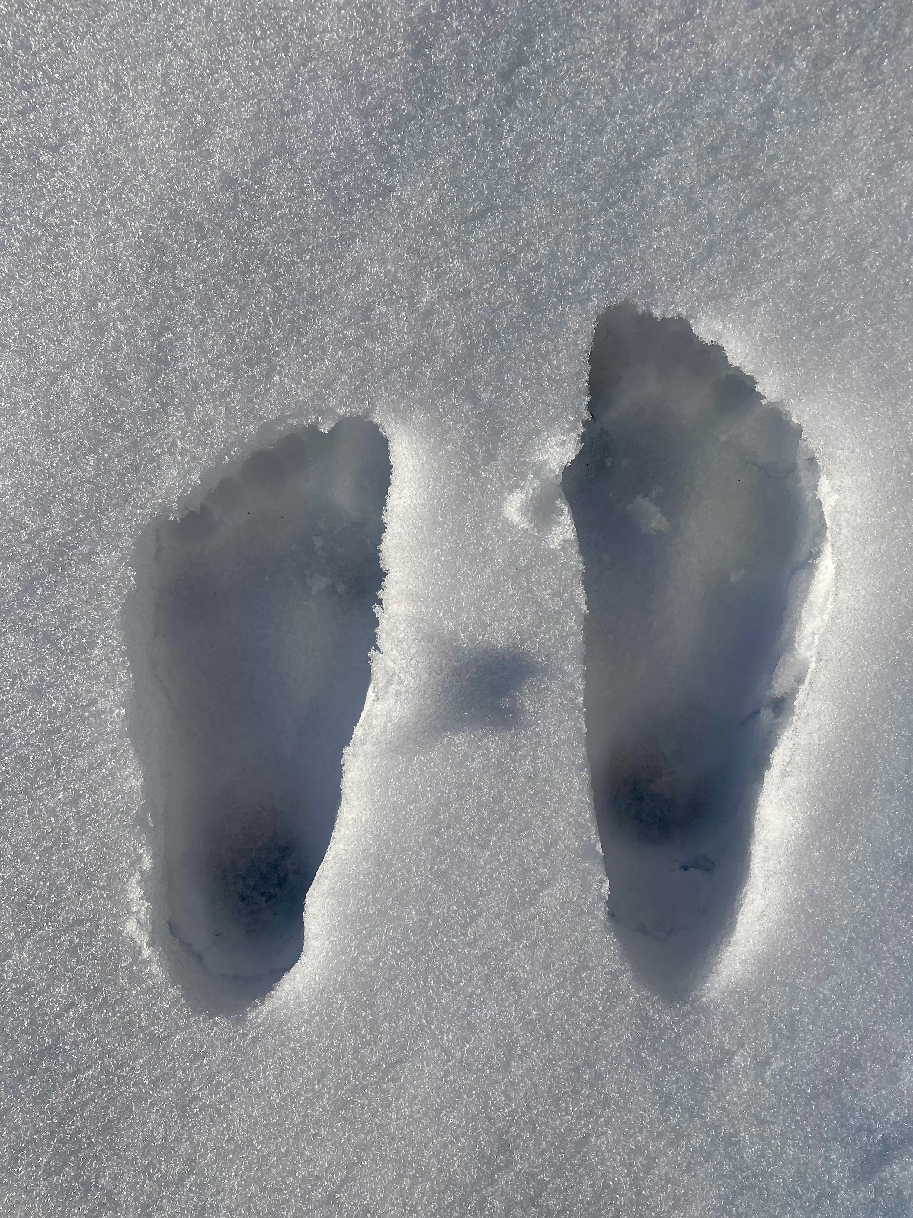 12Toes banner image