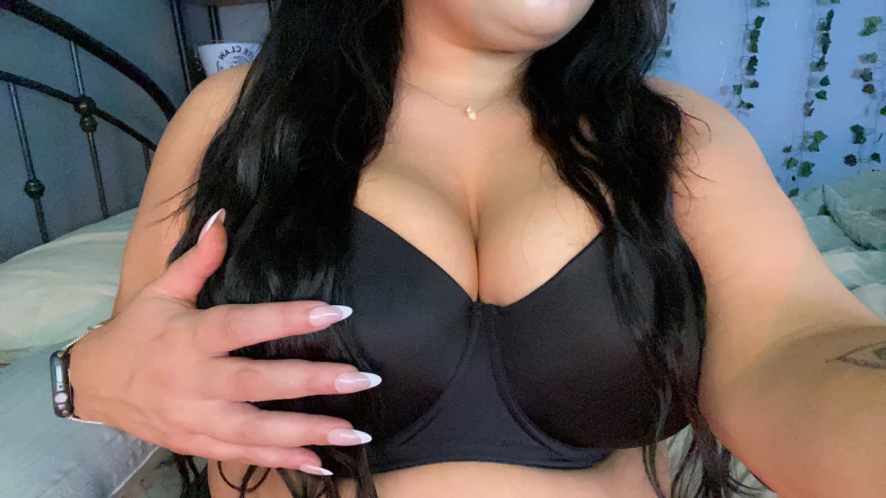 Pey banner image