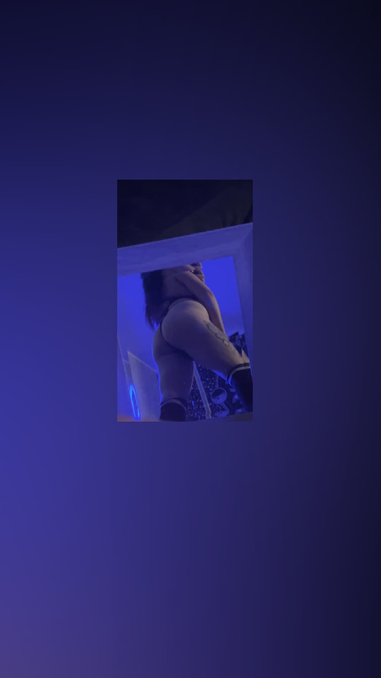 Raven banner image