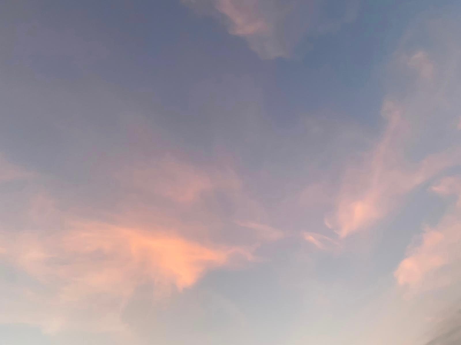 Lea banner image