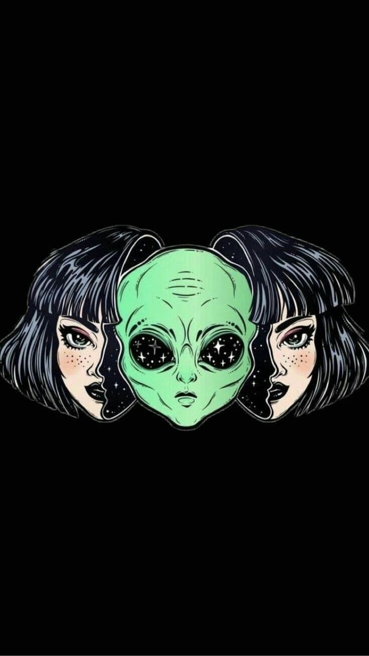 Fern banner image