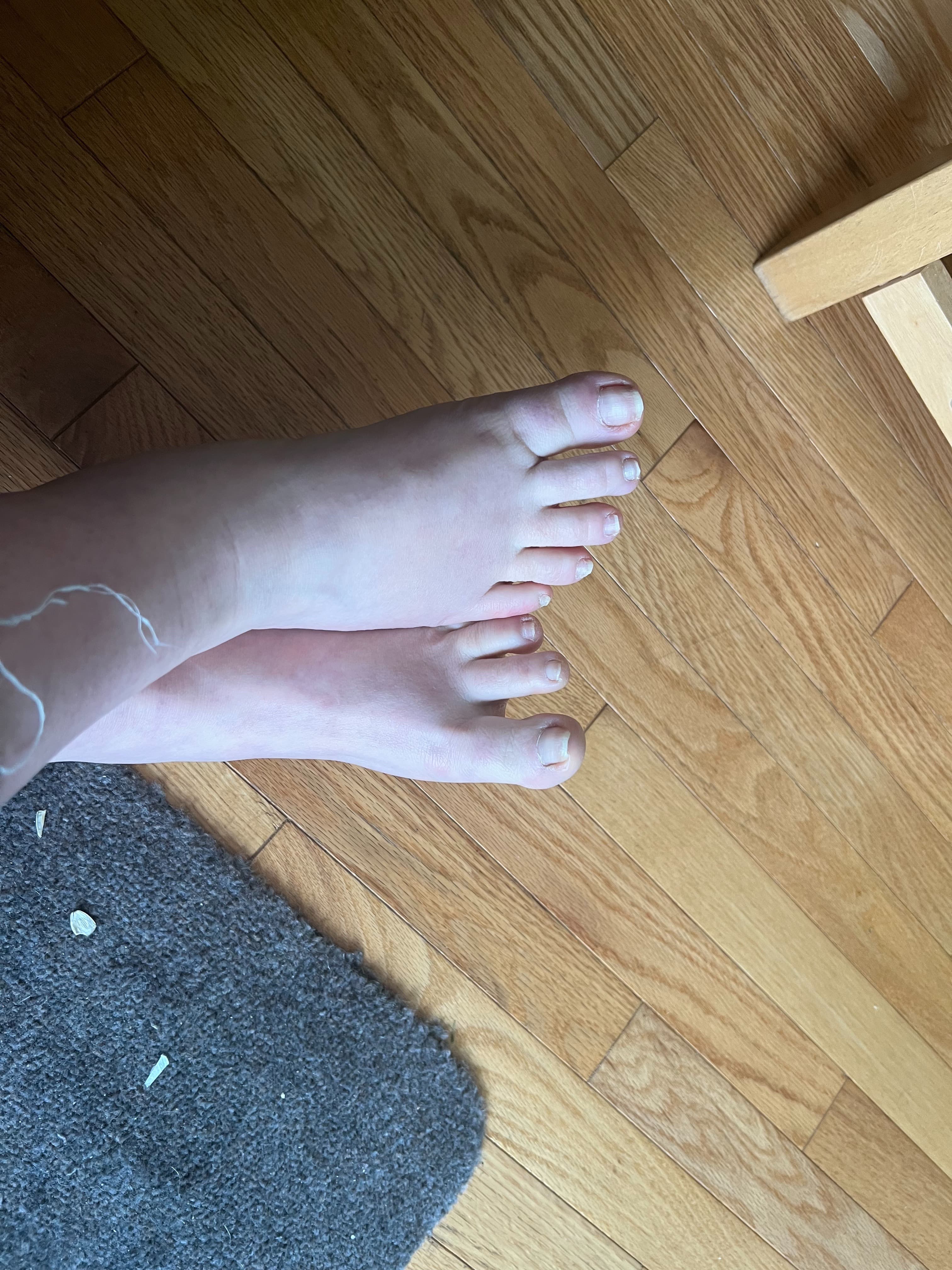 Mistress Aria | Elegant Feet Fantasy banner image