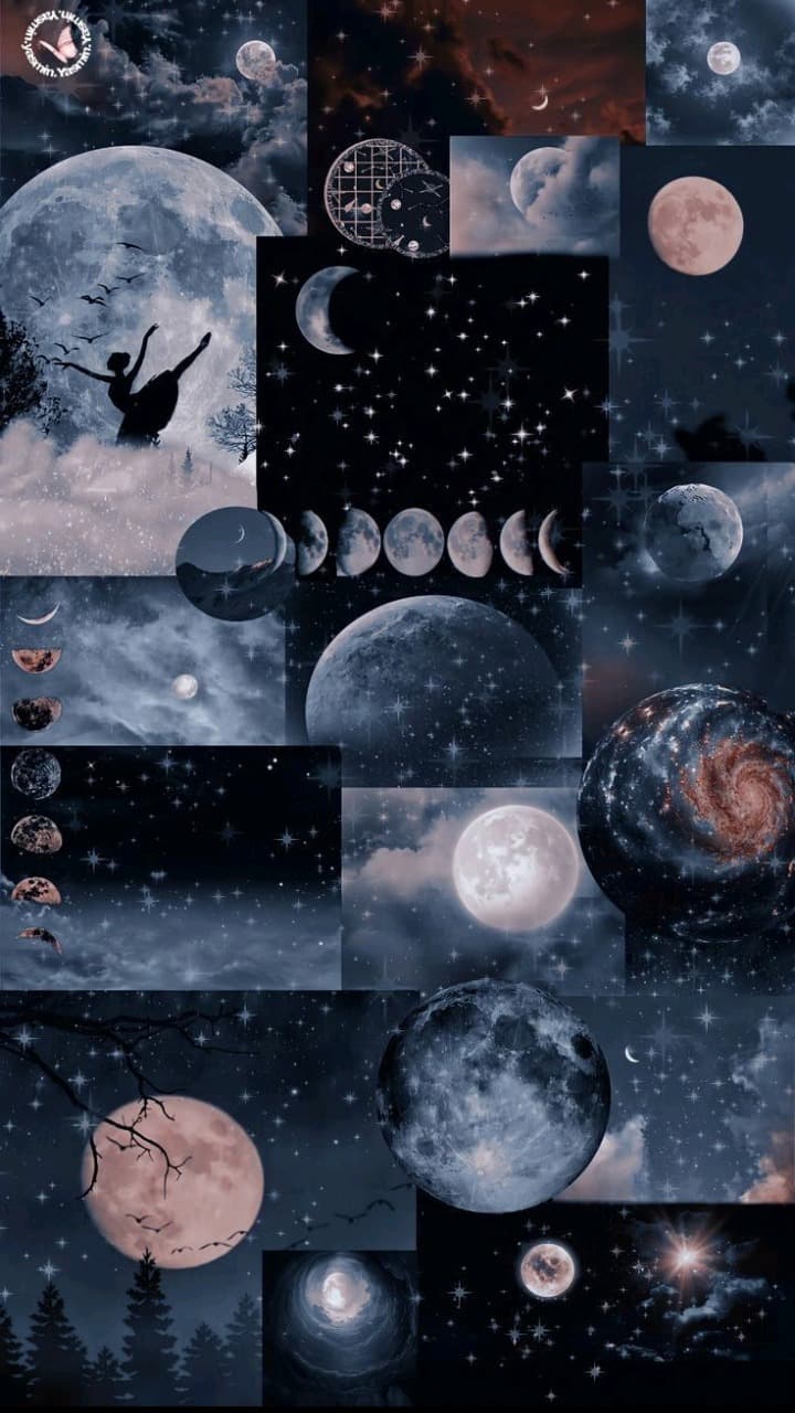 Thalia Silva banner image