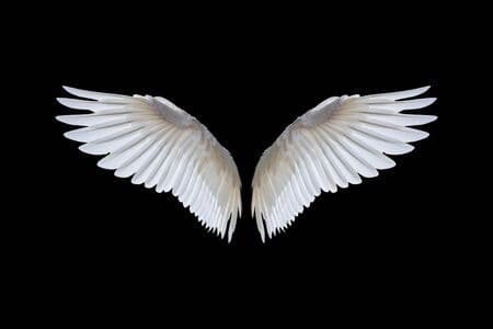 Curved_Angel banner image