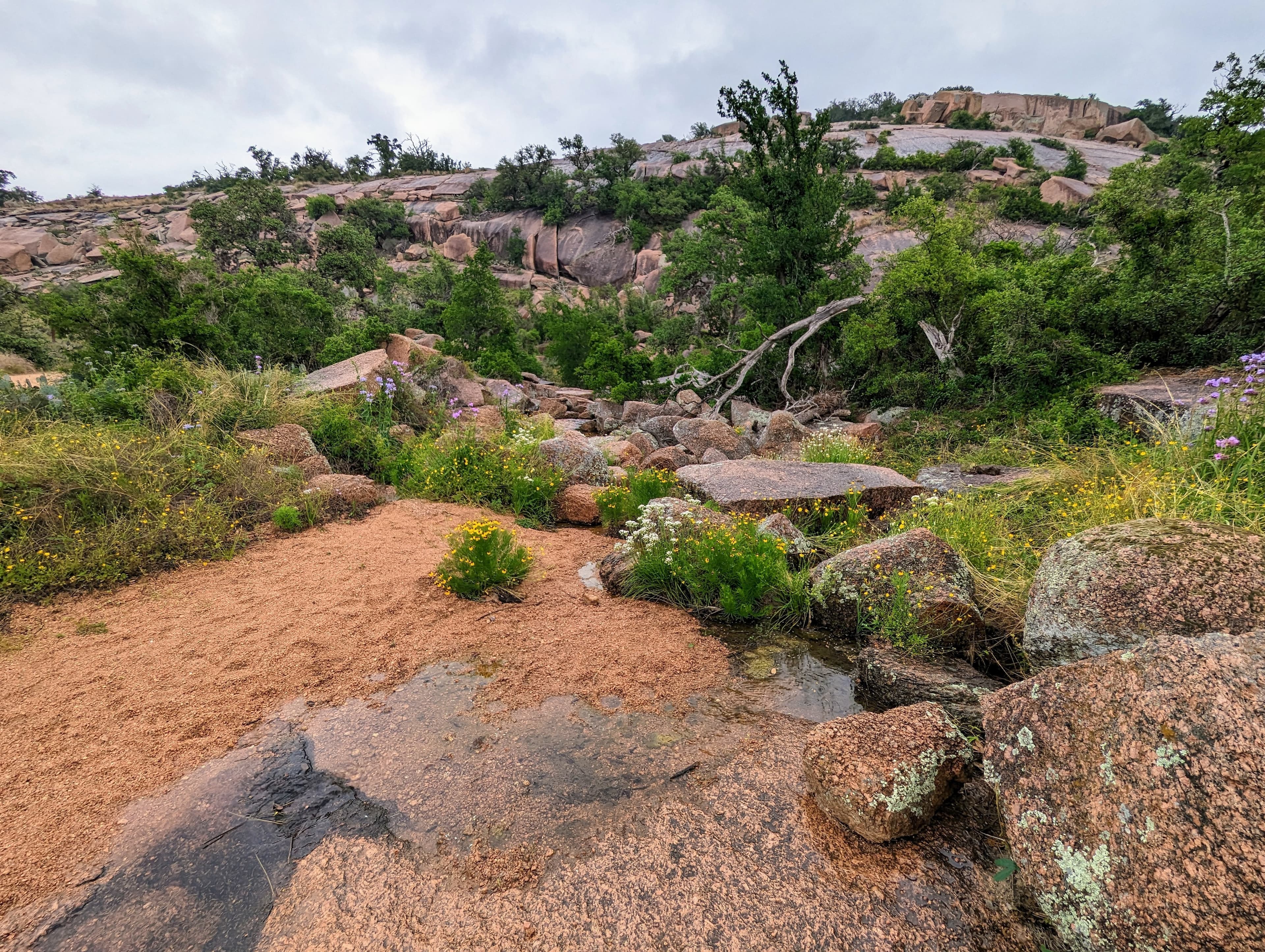 hillcountryvixen banner image