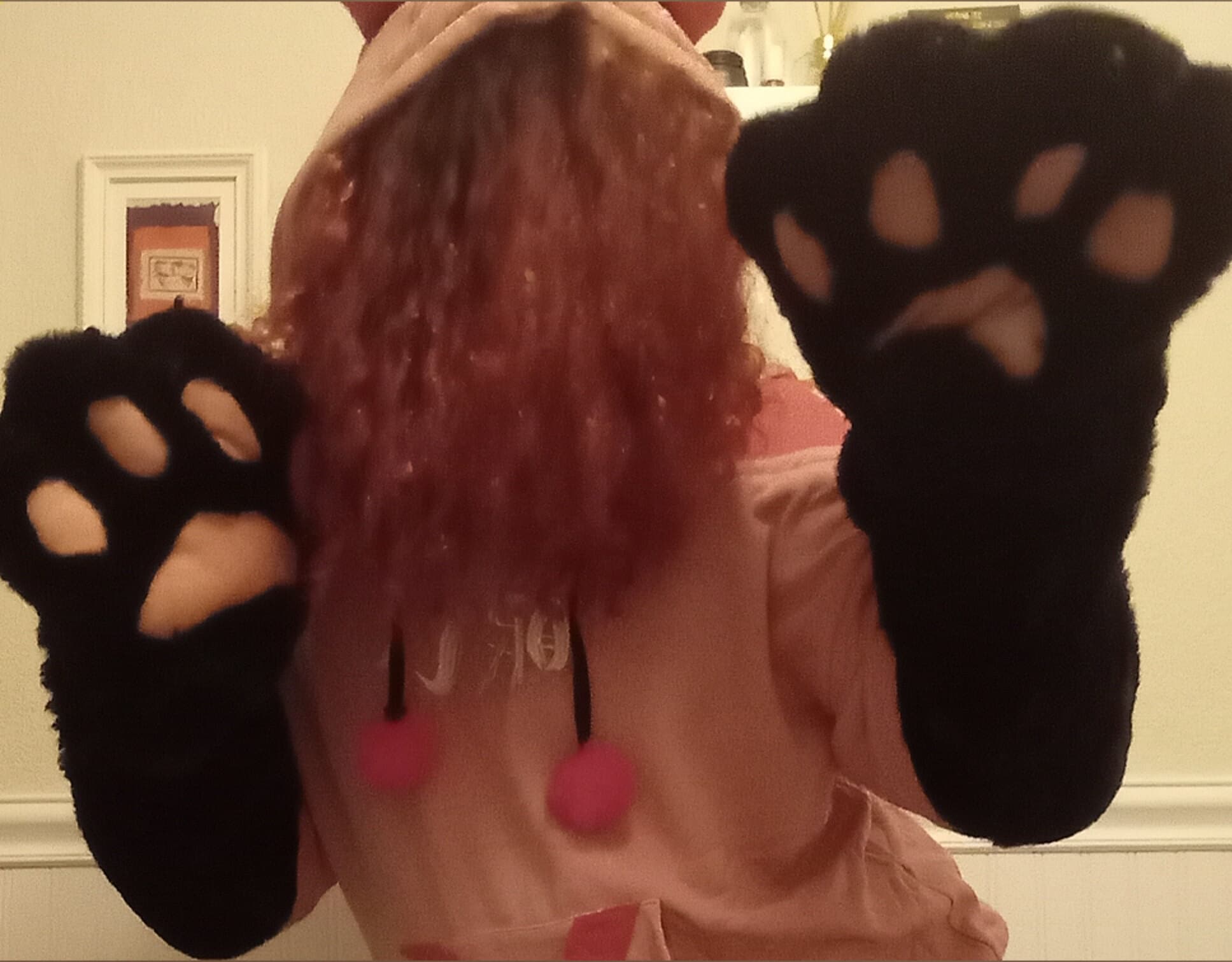 Sheepie banner image