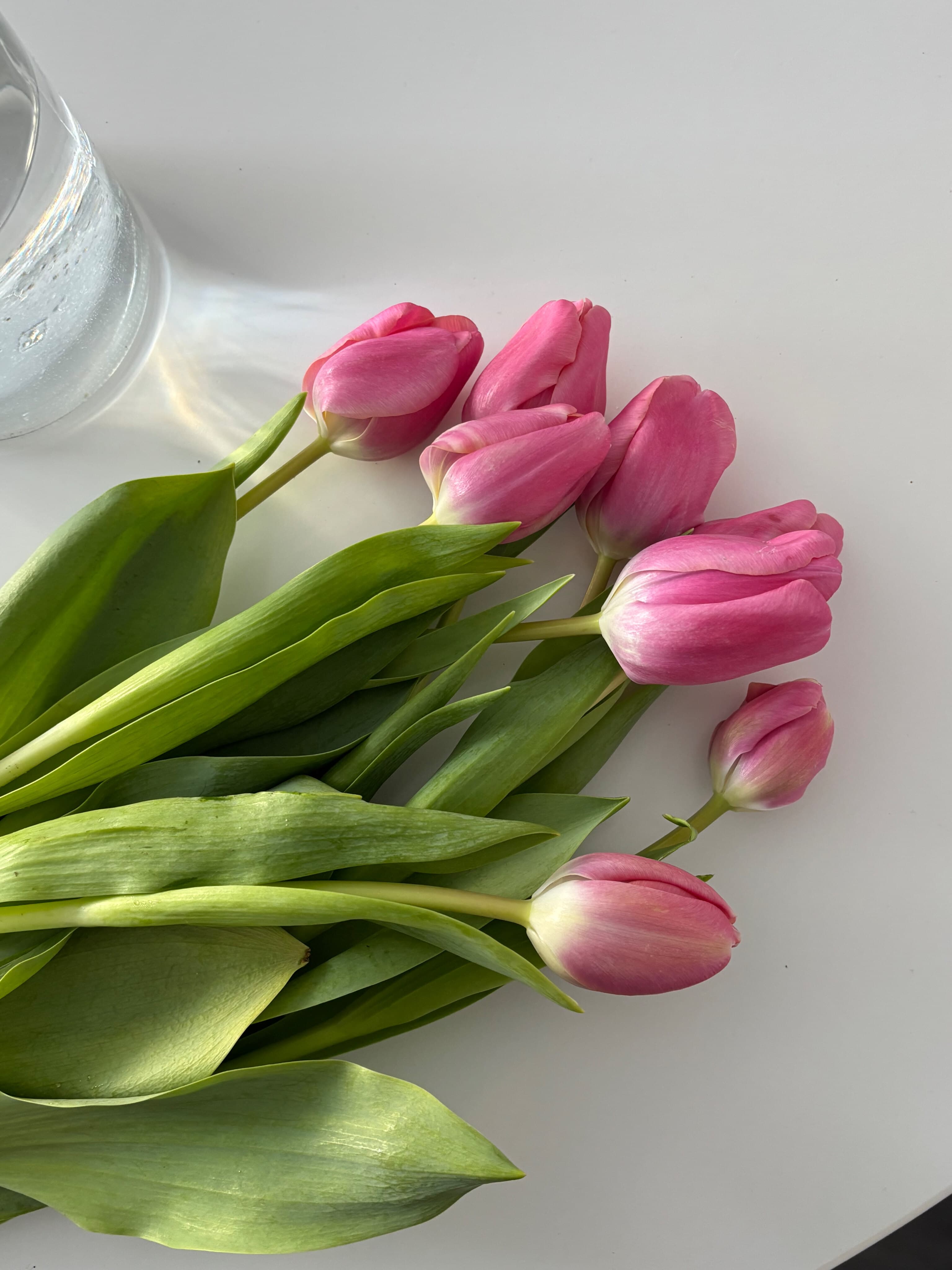 Holly B banner image