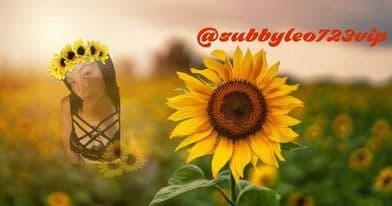 dipsyNtipsy banner image