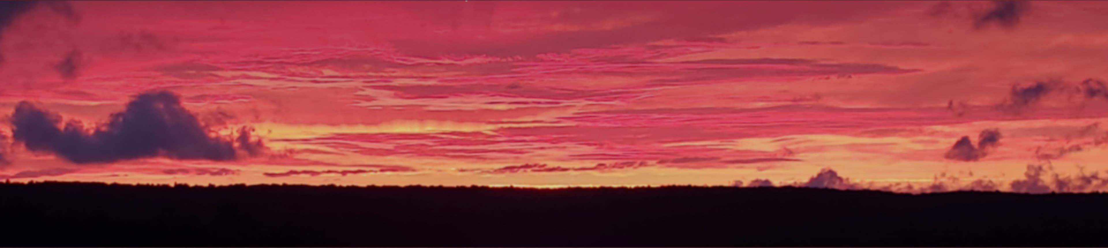 SunnythickmamaVIP banner image