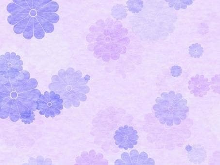 Hikaru banner image