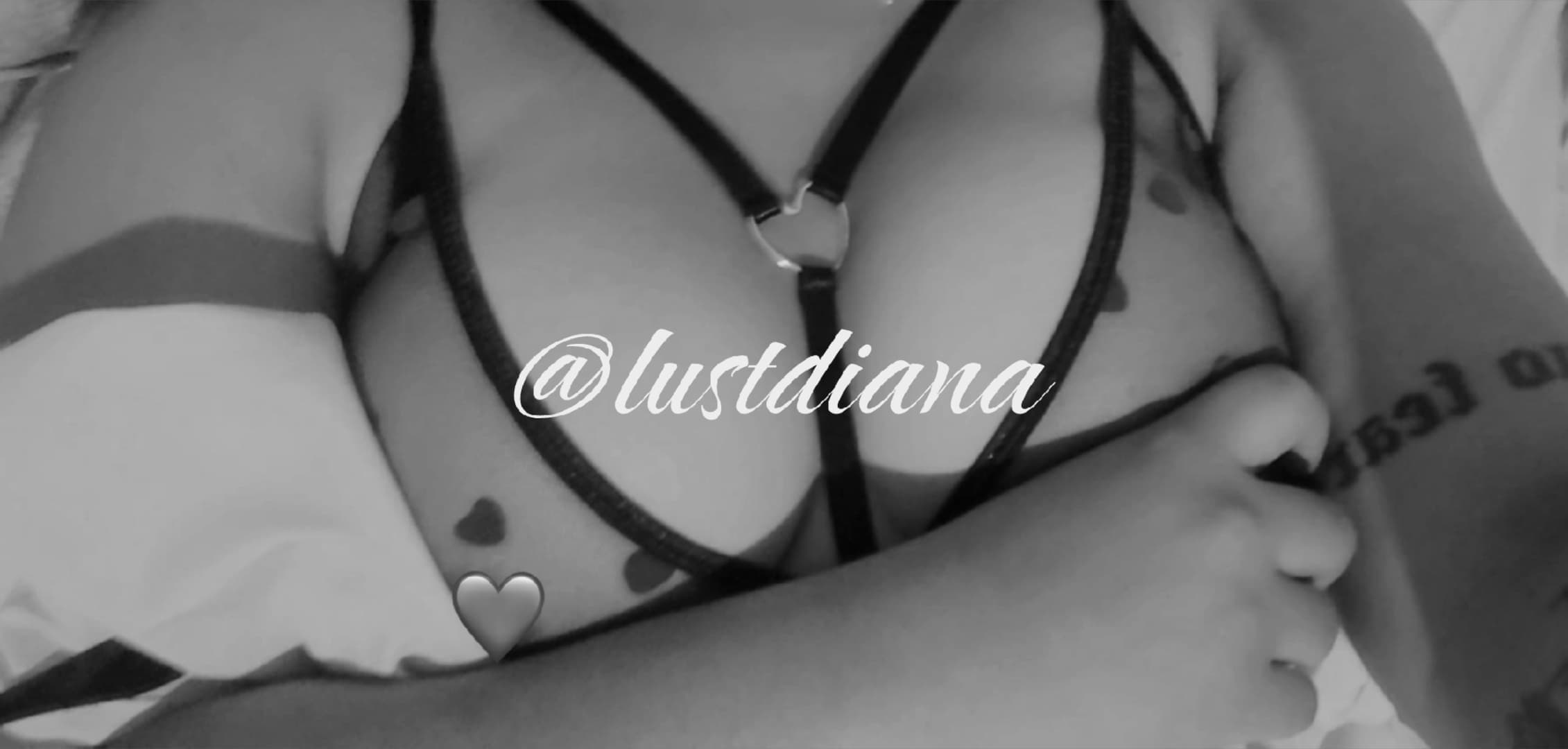 ๐ซง๐๐ฏ๐๐๐๐ ๐ท๐๐๐๐๐ซง banner image