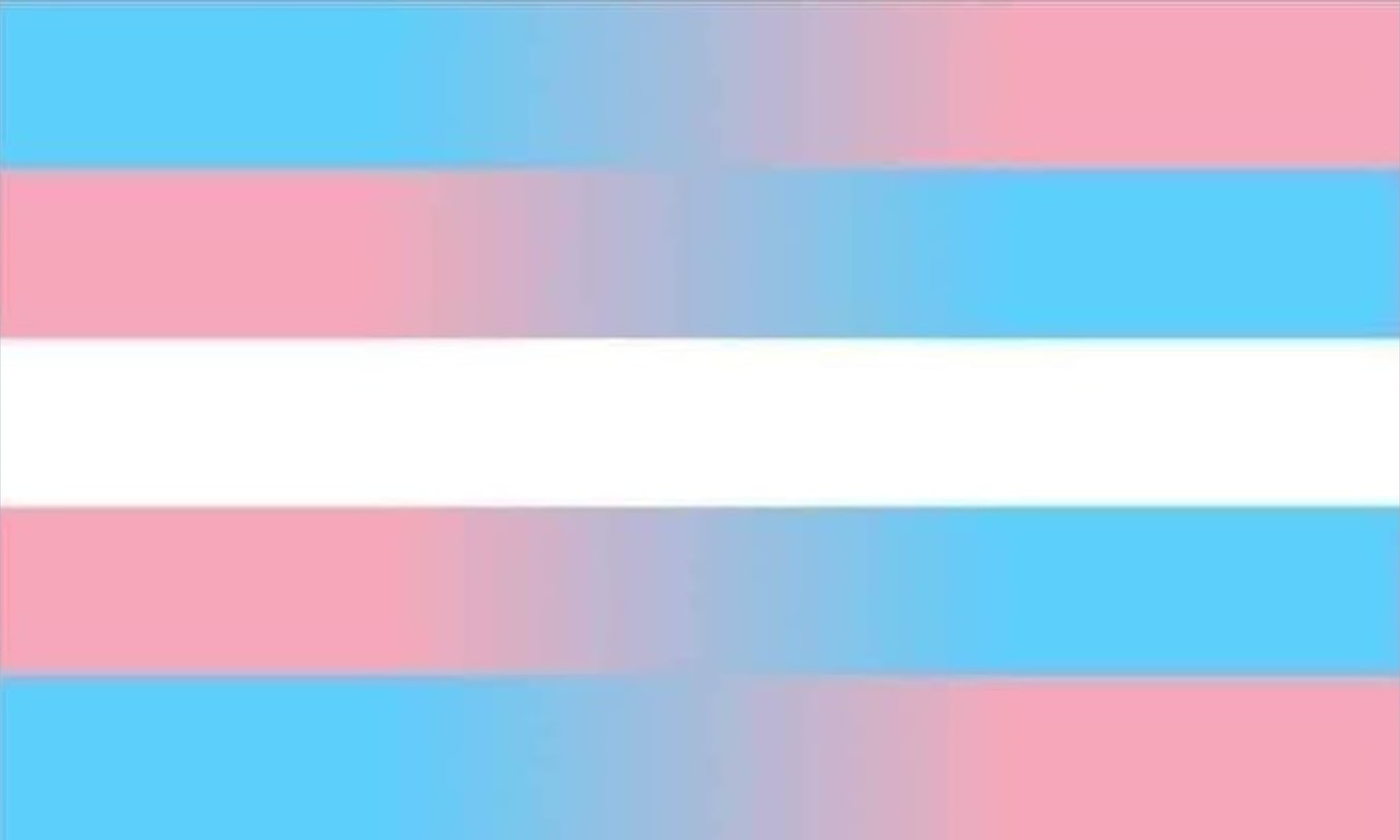 Viv banner image