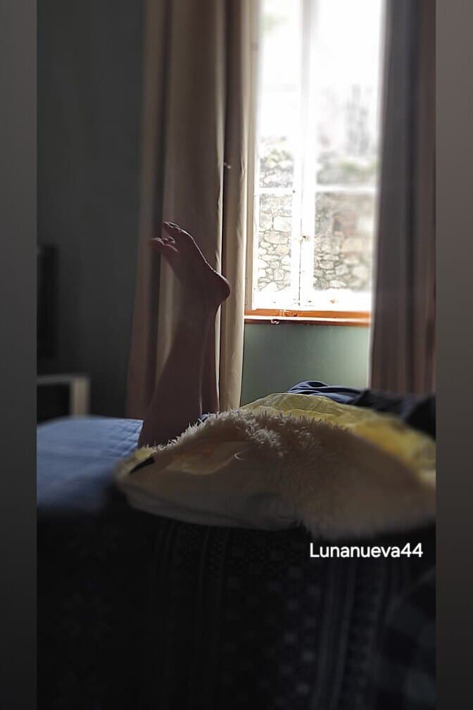 Lunanueva44 banner image