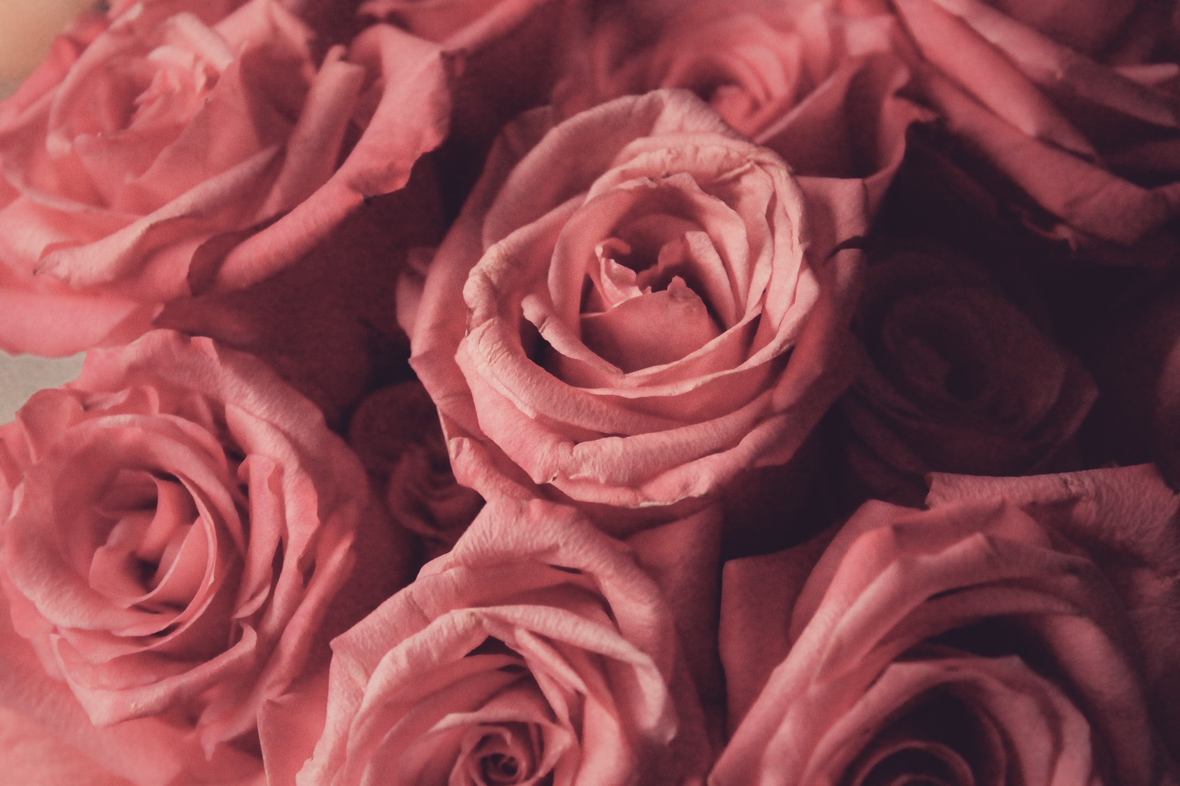 ~Goddess~ banner image