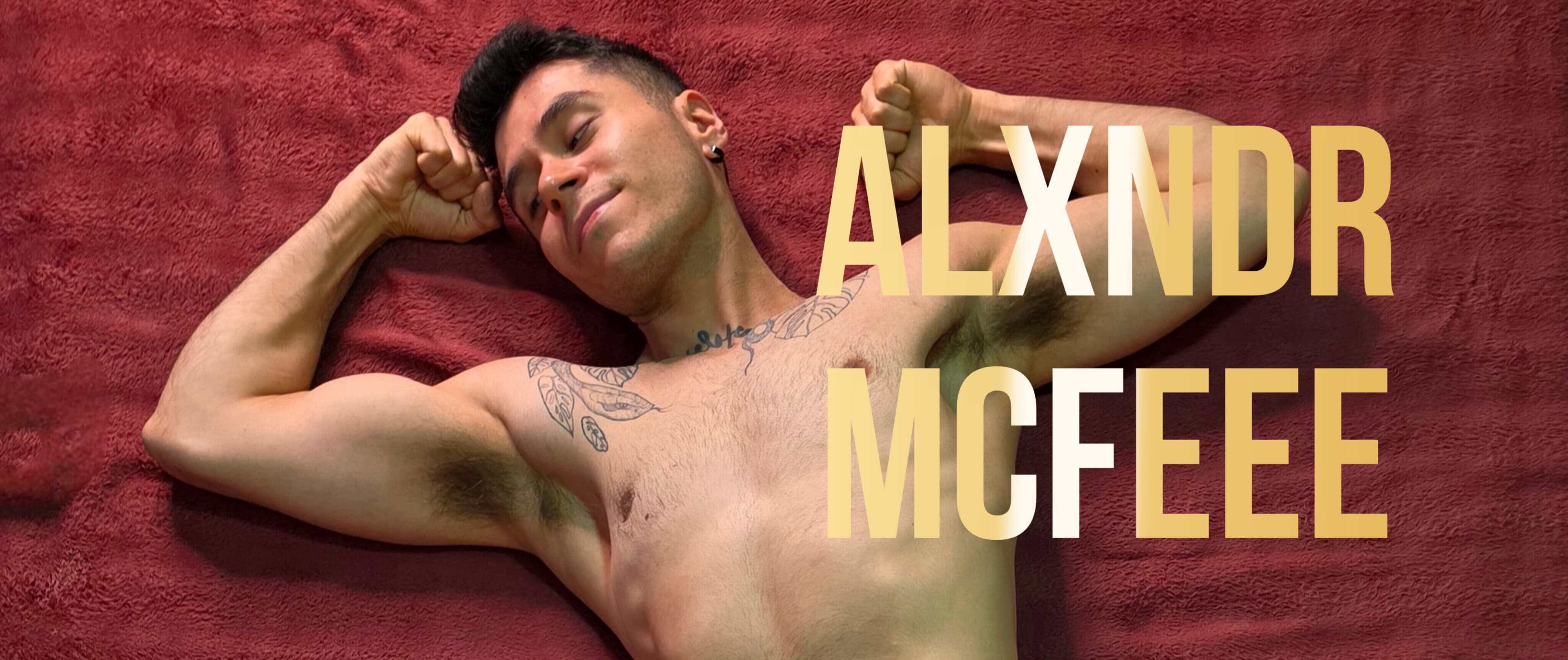 Alxndr McFee banner image