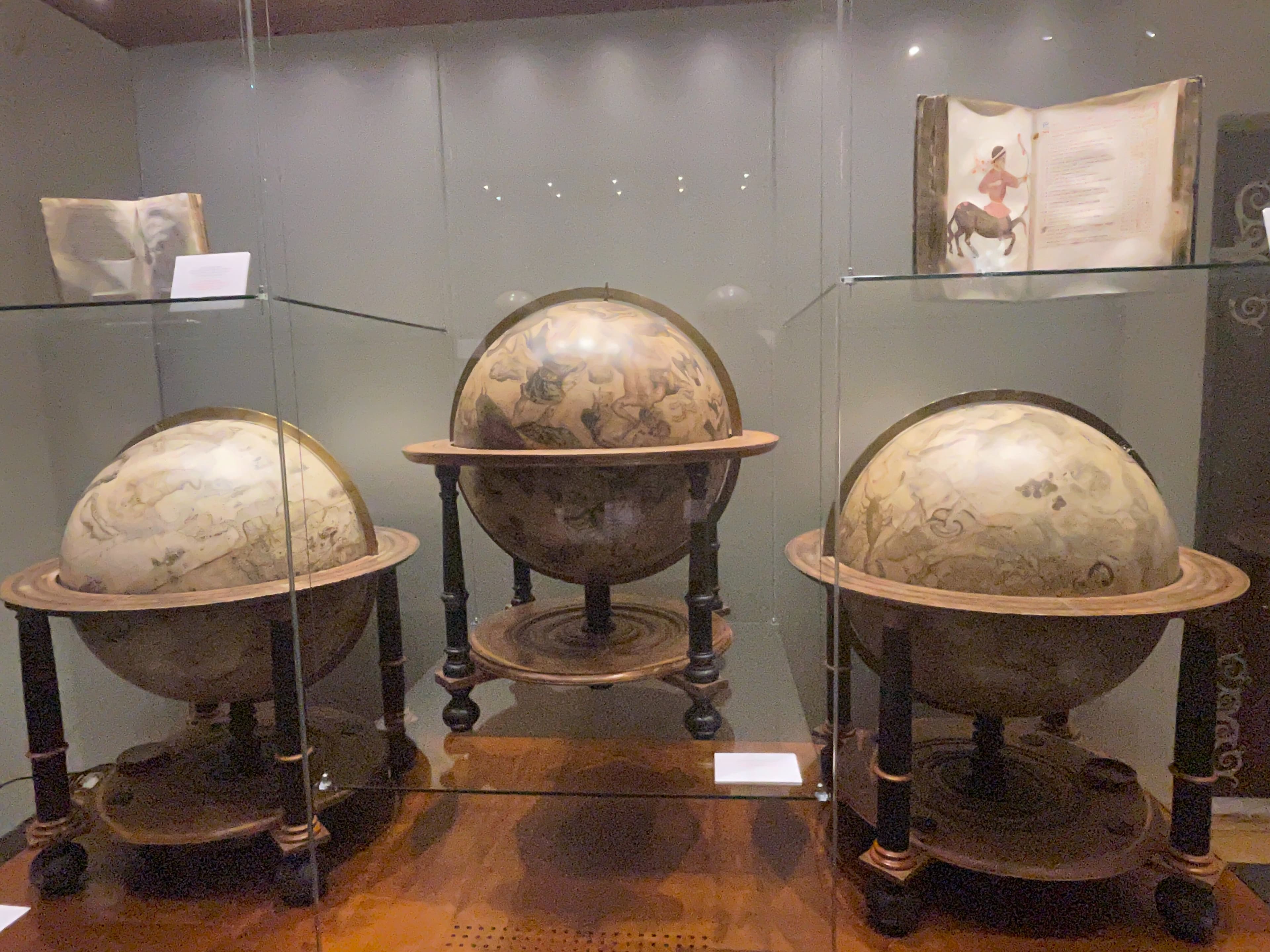 Amelia banner image