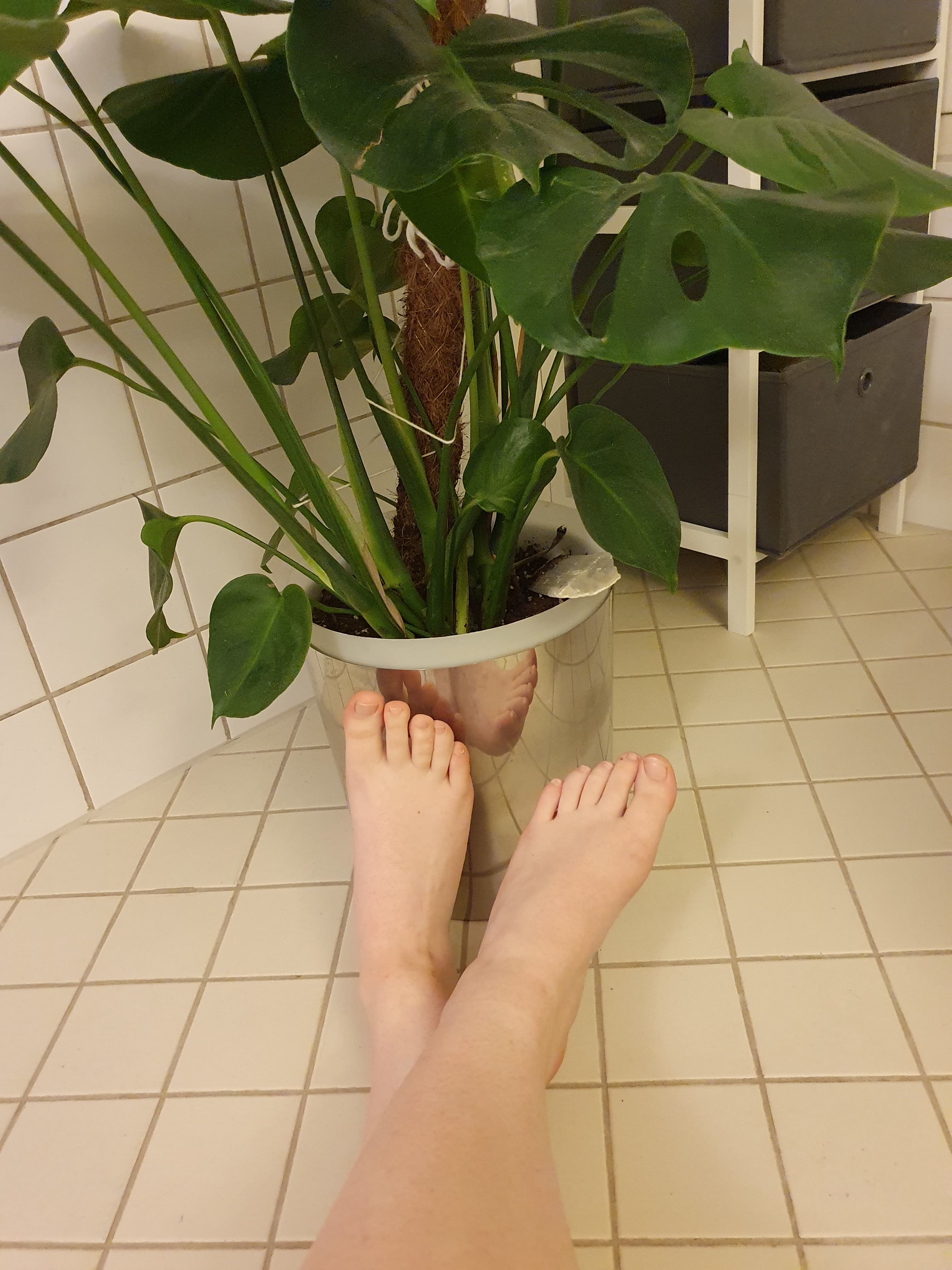 Finefeet banner image