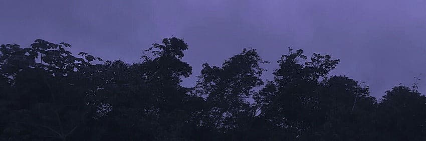 Tiny banner image