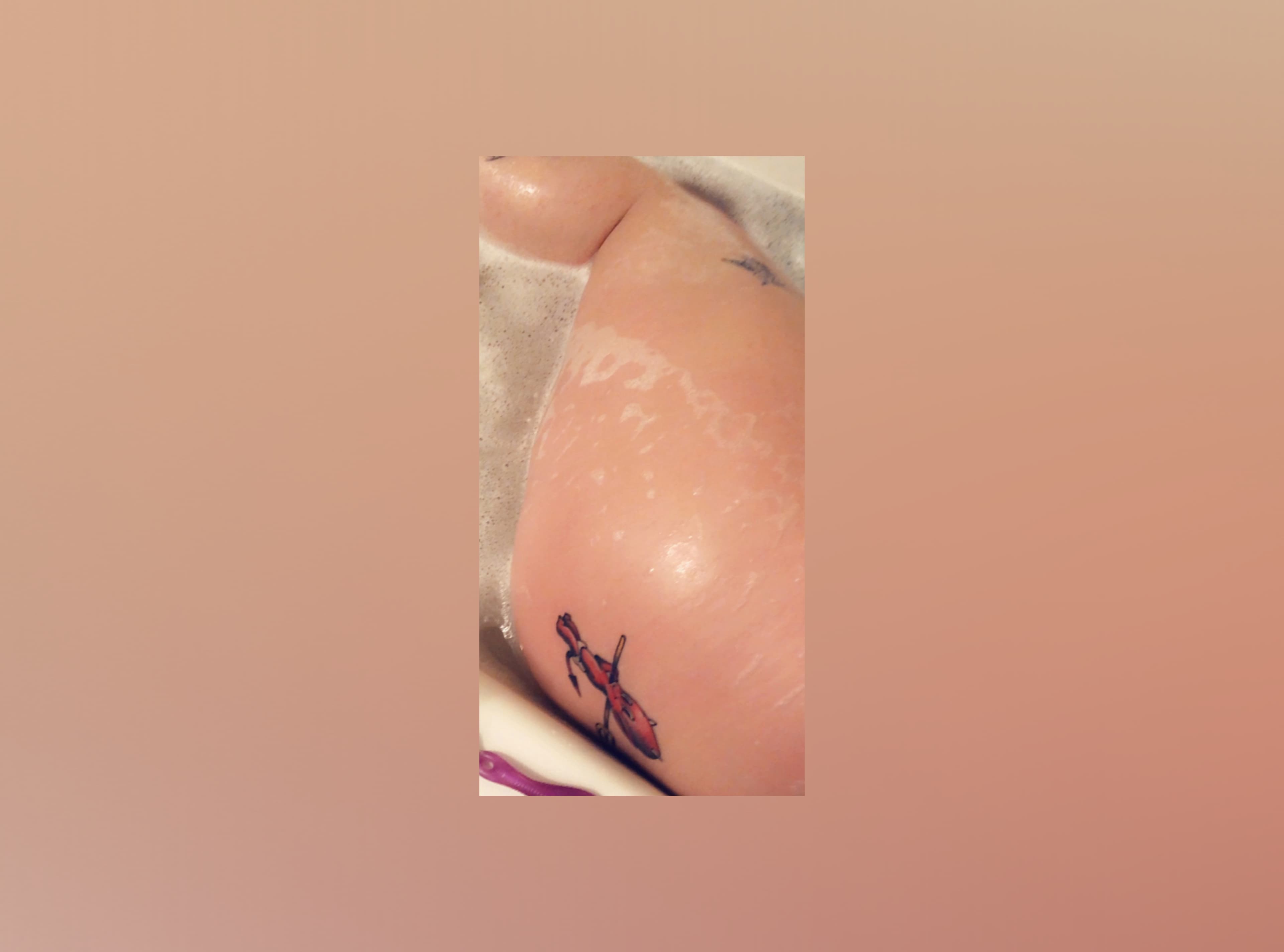 🦖Rawr🦖 banner image
