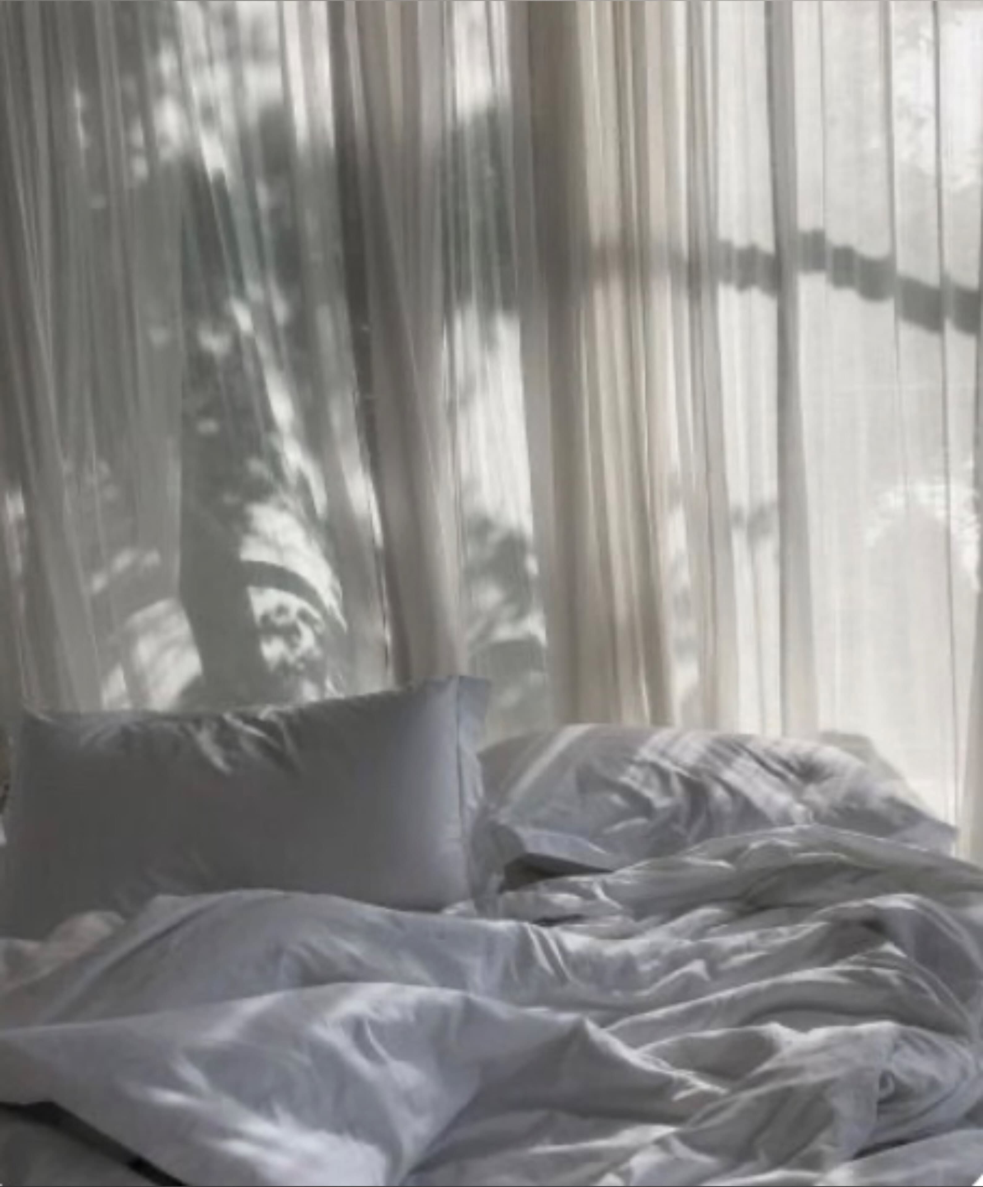 Bri banner image