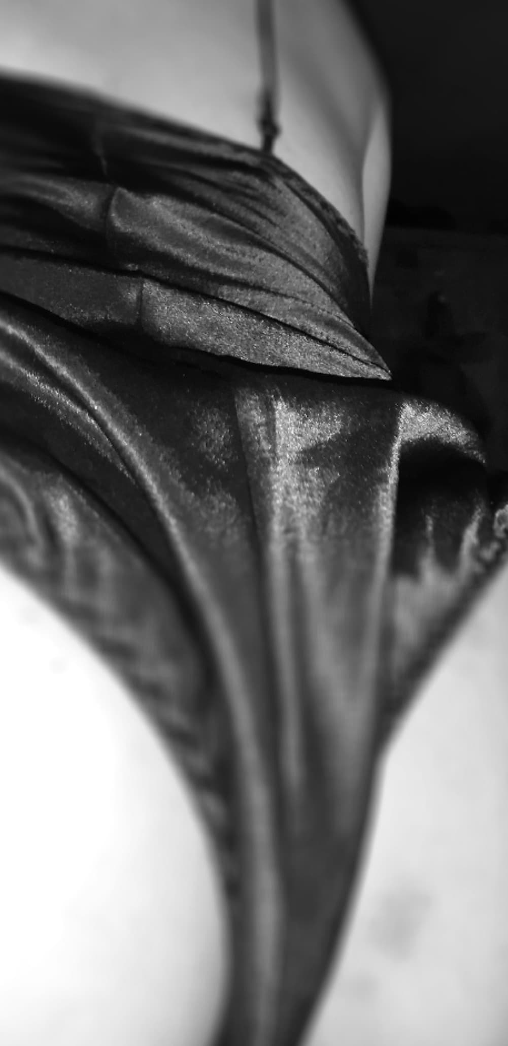 kitty banner image