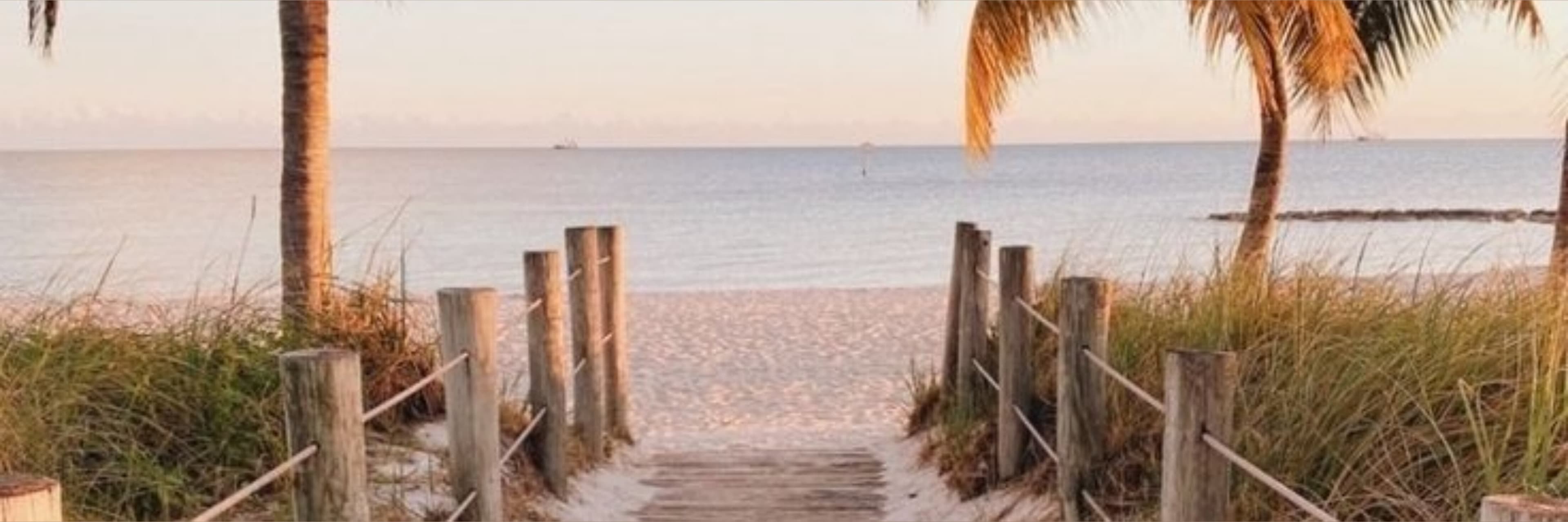 Goddessnyx94 banner image