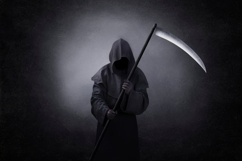 Slim Reaper banner image