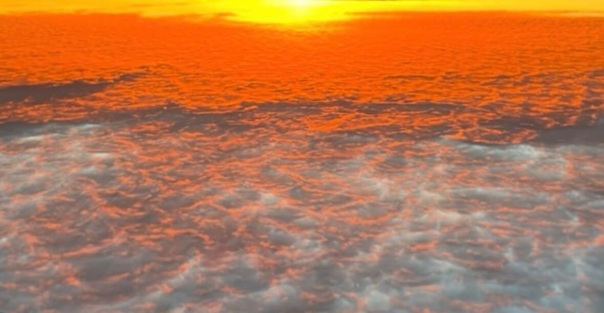 James banner image