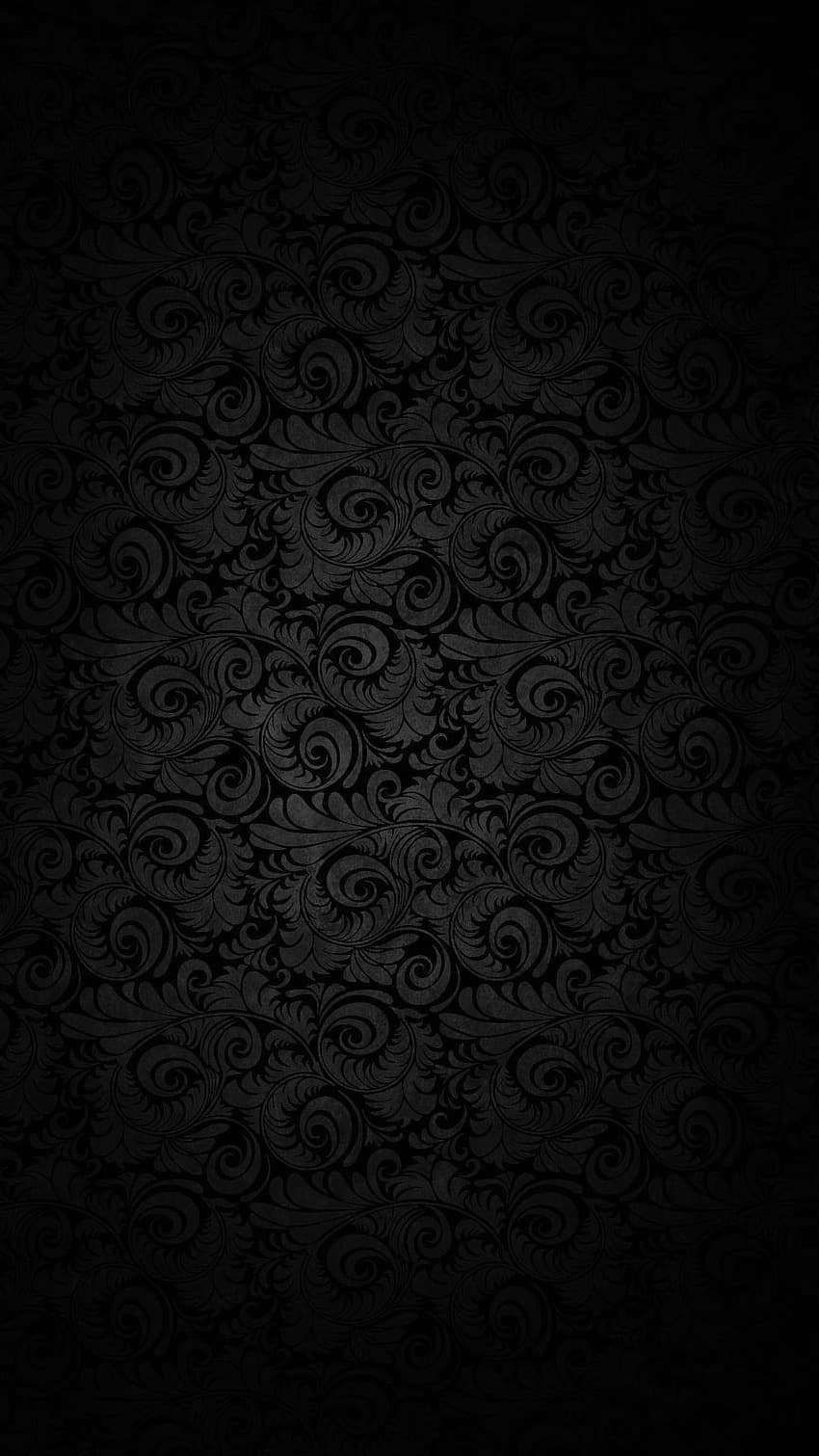 Alexandra banner image