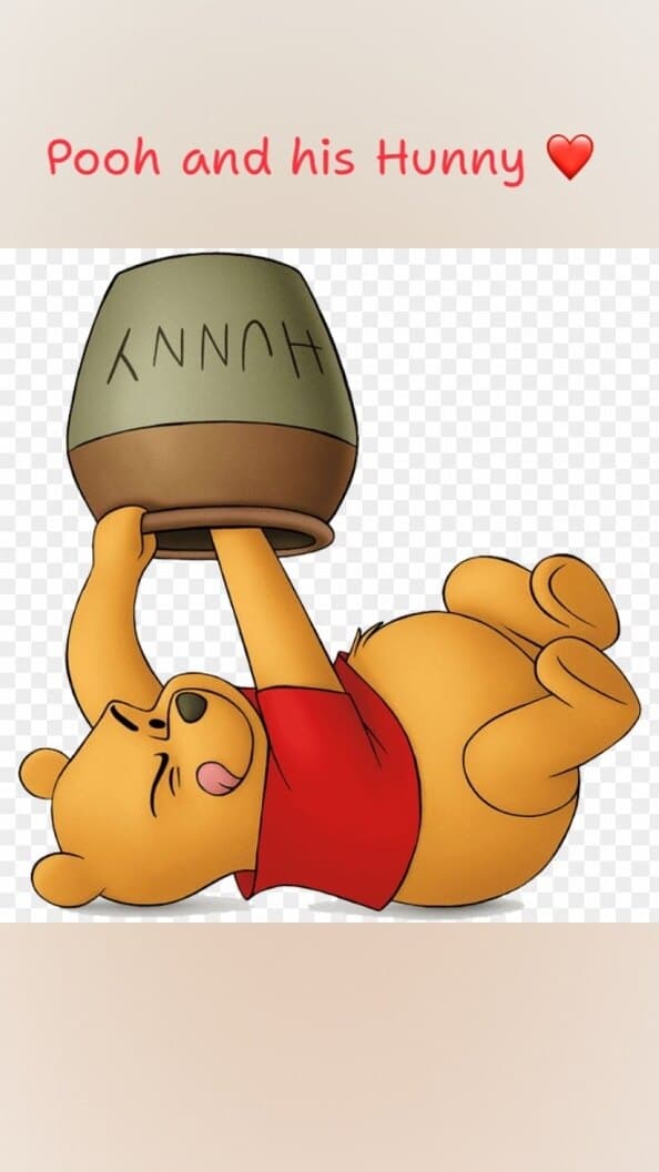 Pooh and Hunny banner image