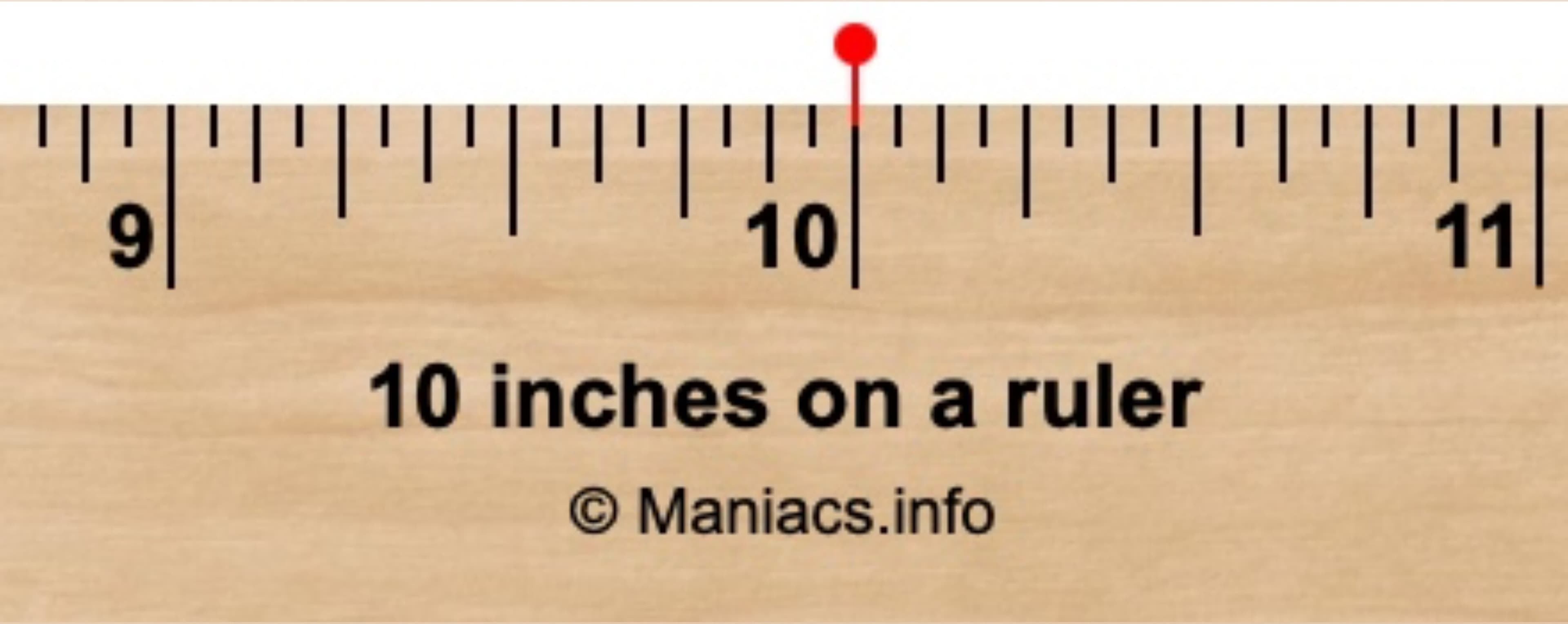 10inPrince banner image