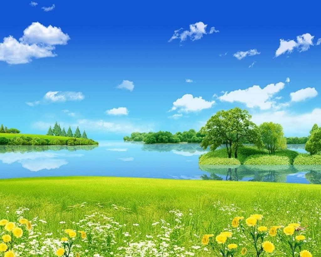 bonx10011 banner image