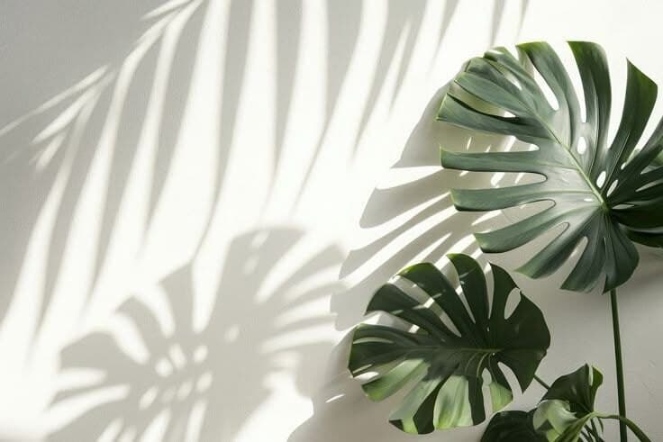 Sweetlittlesecret banner image