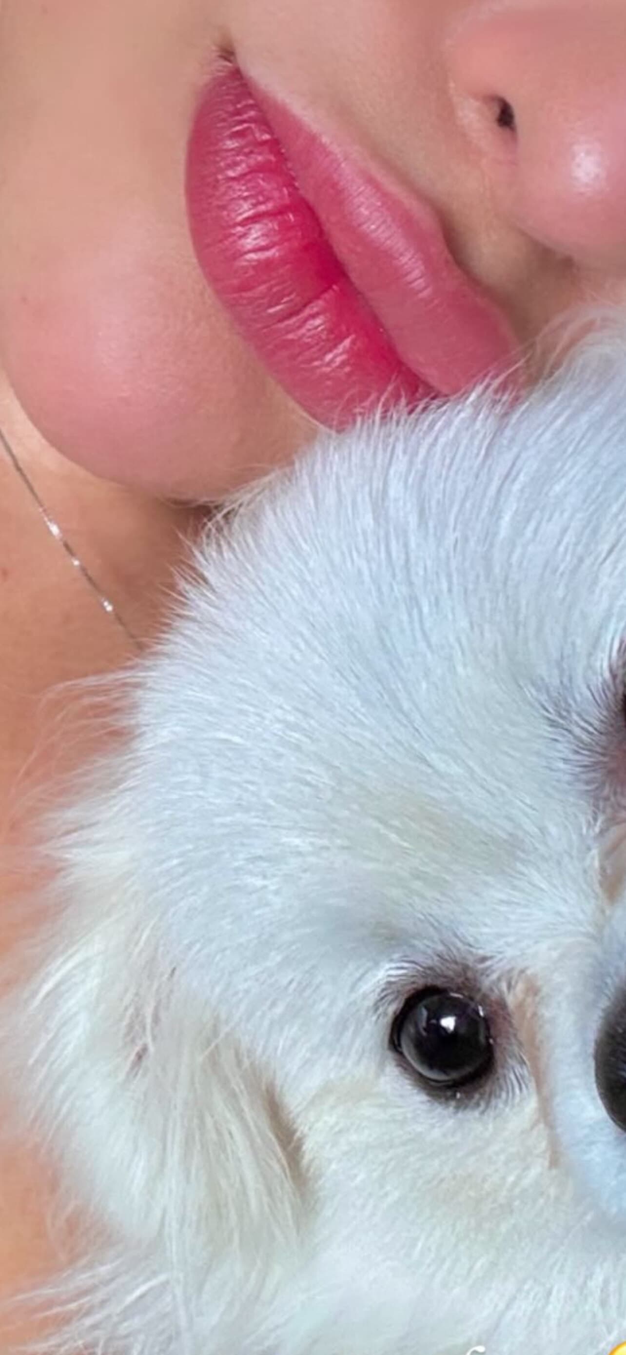 Laila banner image