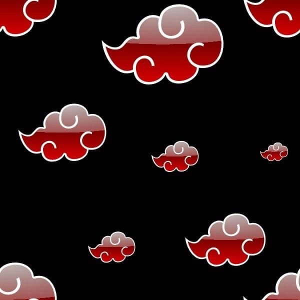 ChubbyBearSan banner image